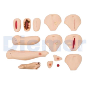 Set Ulceras Maniqui Nursing Anne